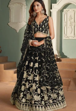 Embroidered Net Lehenga in Black