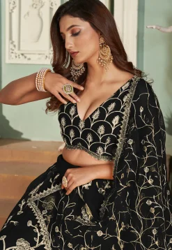 Embroidered Net Lehenga in Black