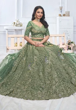 Embroidered Net Lehenga in Green