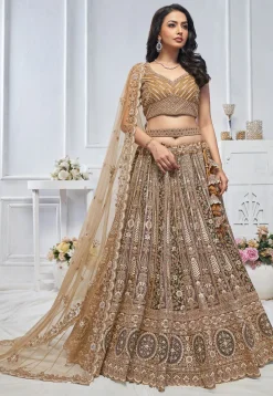 Embroidered Net Lehenga in Multicolor
