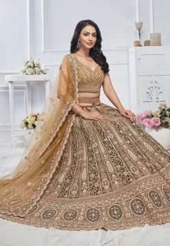 Embroidered Net Lehenga in Multicolor
