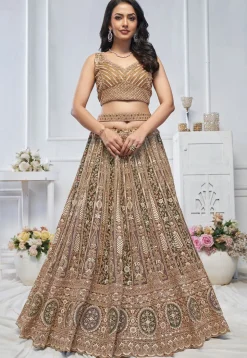 Embroidered Net Lehenga in Multicolor