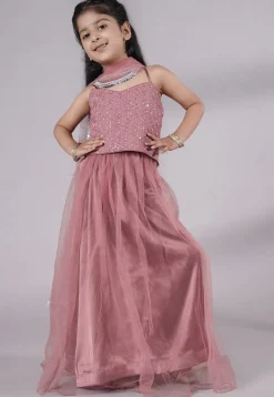 Embroidered Net Lehenga in Old Rose