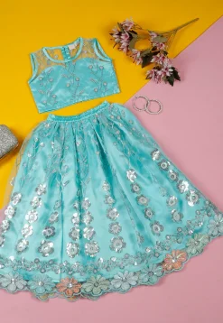 Embroidered Net Lehenga in Blue