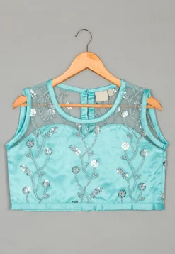 Embroidered Net Lehenga in Blue