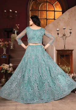 Embroidered Net Lehenga in Blue
