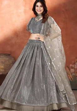 Embroidered Net Lehenga in Grey