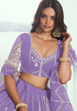 Embroidered Net Lehenga in Purple