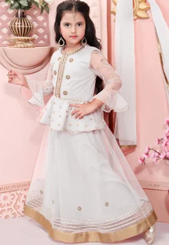 Embroidered Net Lehenga in Off White