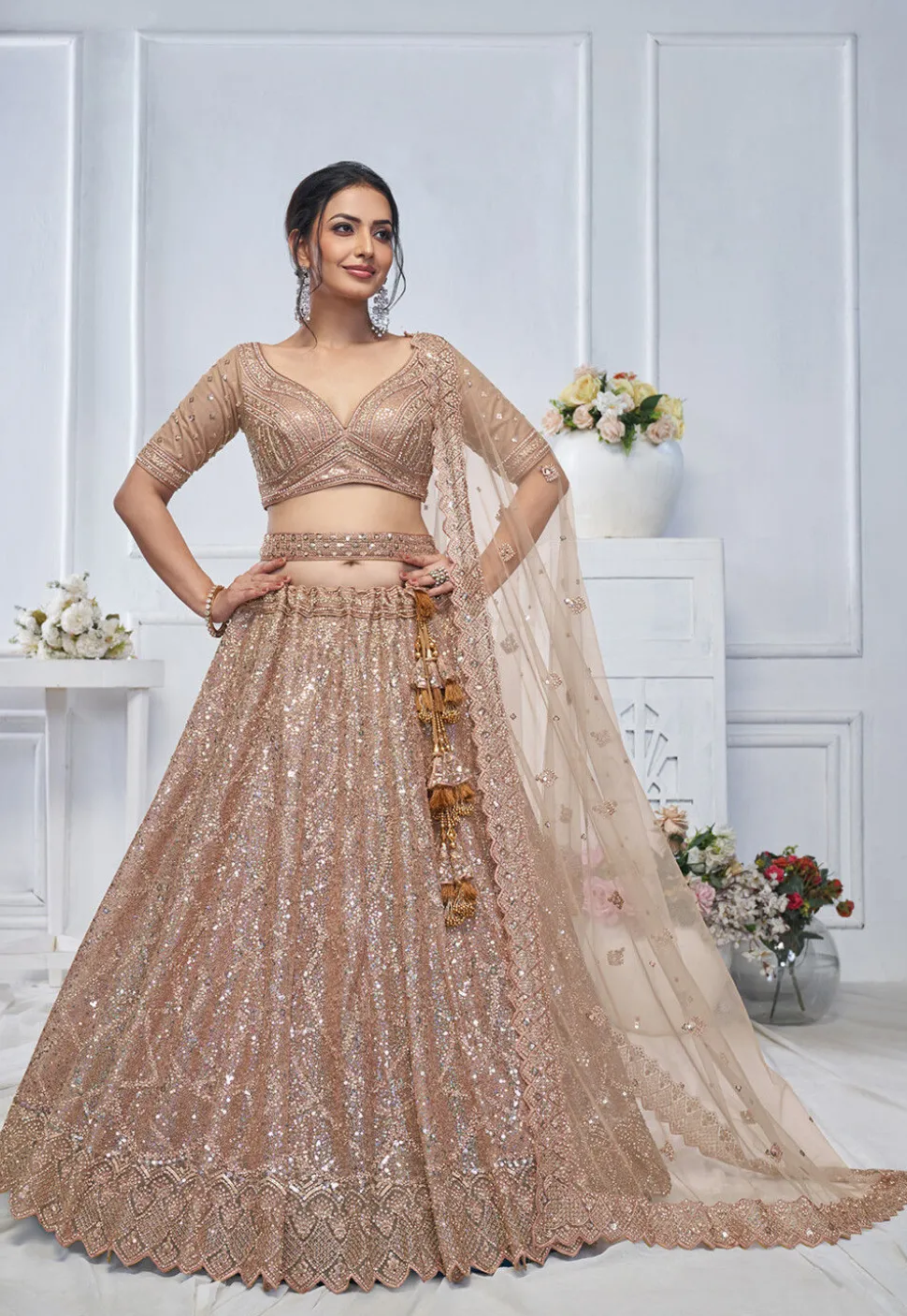 Embroidered Net Lehenga in Light Brown
