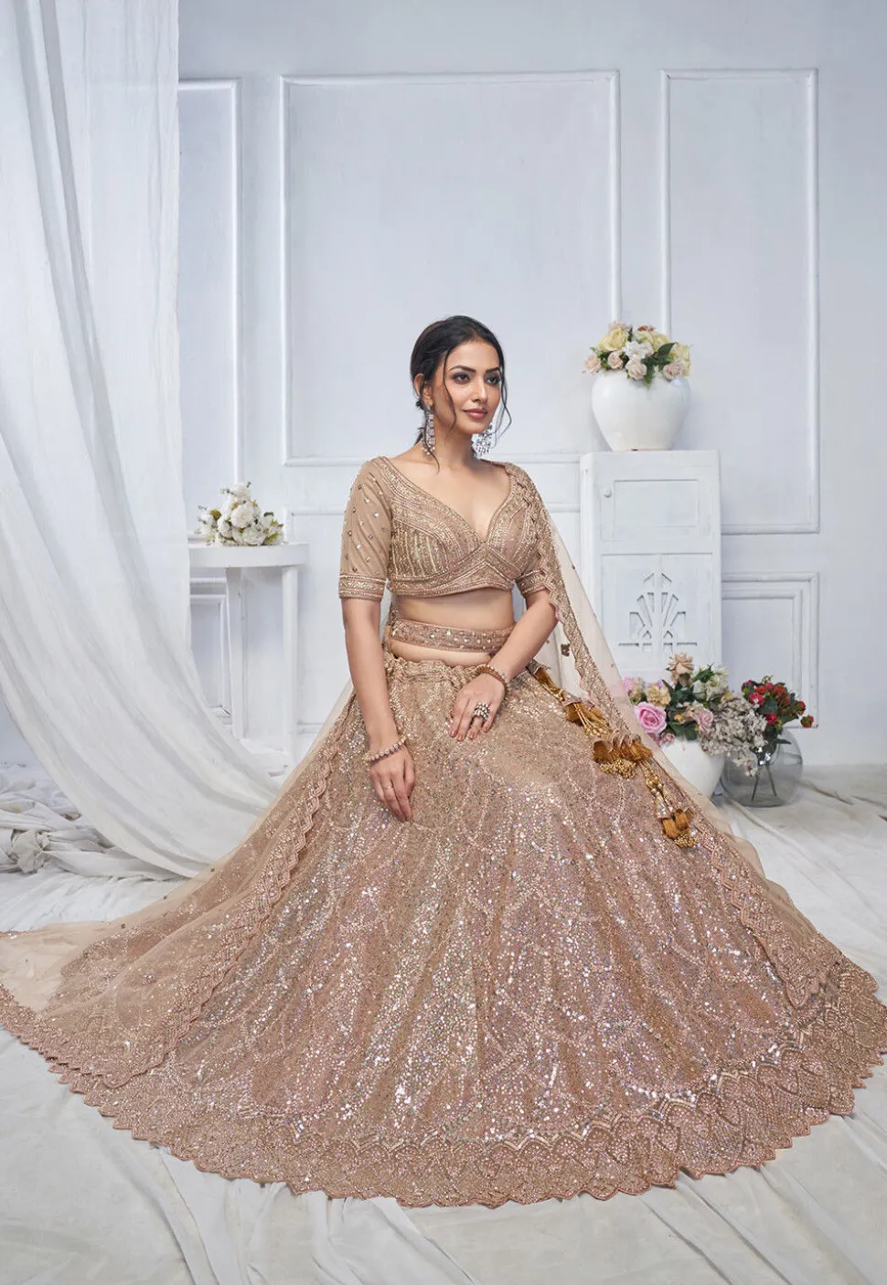 Embroidered Net Lehenga in Light Brown
