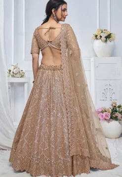 Embroidered Net Lehenga in Light Brown
