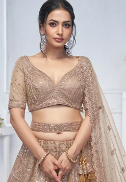 Embroidered Net Lehenga in Light Brown
