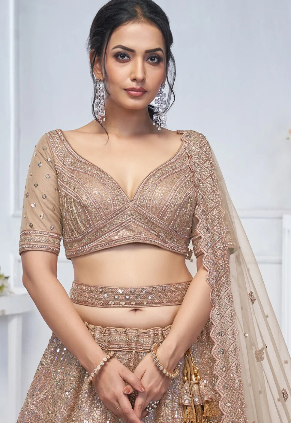 Embroidered Net Lehenga in Light Brown