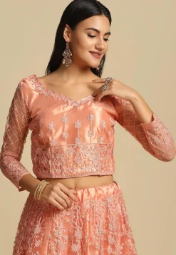Embroidered Net Lehenga in Peach