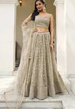 Embroidered Net Lehenga in Grey