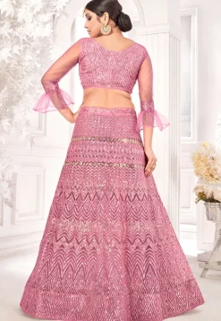 Embroidered Net Lehenga in Pink