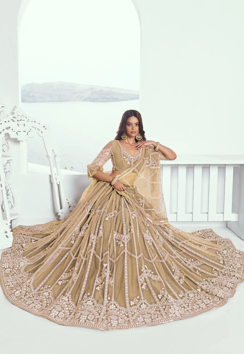 Embroidered Net Lehenga in Beige