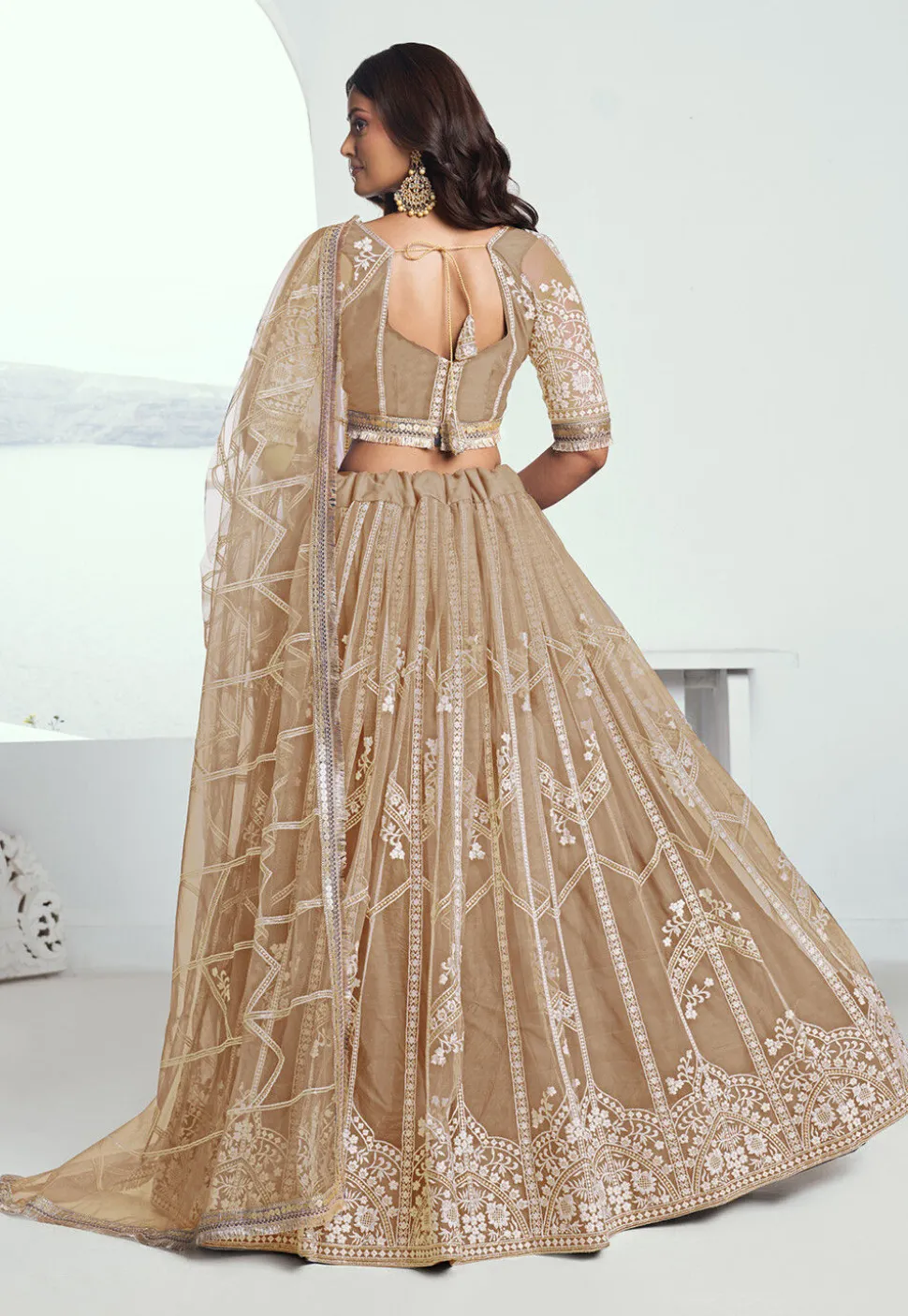 Embroidered Net Lehenga in Beige