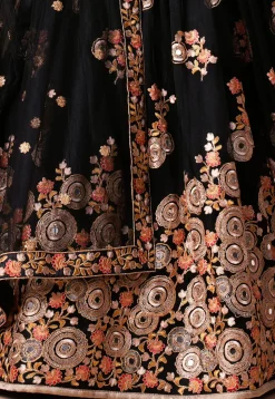 Embroidered Net Lehenga in Black