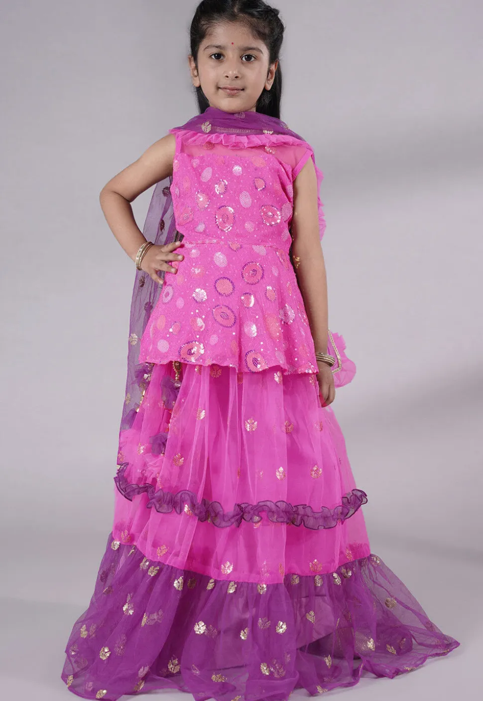 Embroidered Net Lehenga in Fuchsia and Purple
