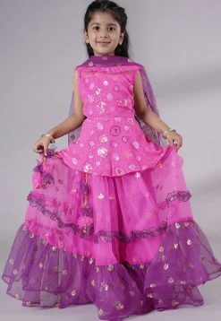 Embroidered Net Lehenga in Fuchsia and Purple