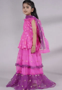 Embroidered Net Lehenga in Fuchsia and Purple