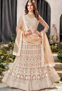 Embroidered Net Lehenga in Beige