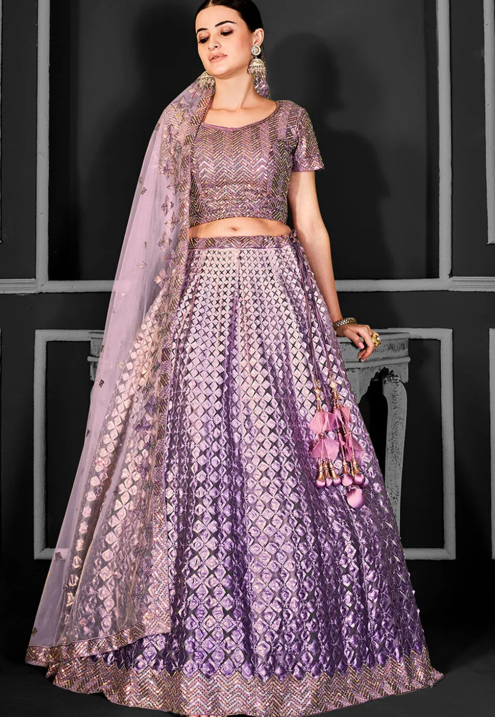 Embroidered Net Lehenga in Purple