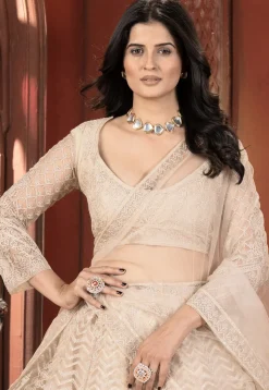 Embroidered Net Lehenga in Light Beige