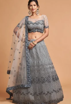 Embroidered Net Lehenga in Grey