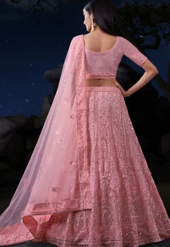 Embroidered Net Lehenga in Peach