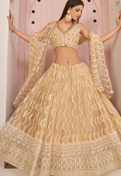 Embroidered Net Lehenga in Beige
