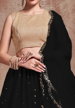 Embroidered Net Lehenga in Black