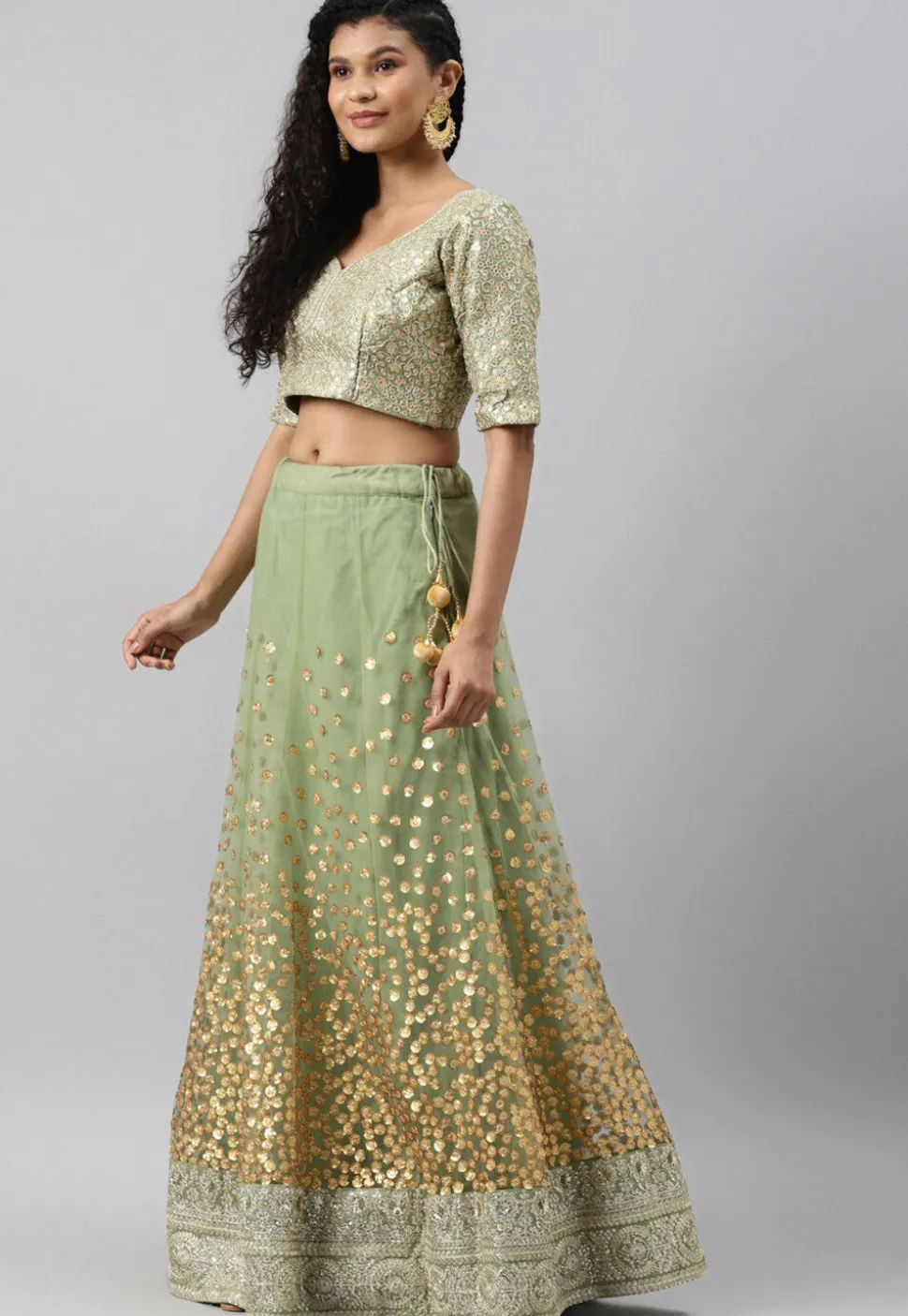 Embroidered Net Lehenga in Light Green