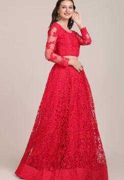 Embroidered Net Lehenga in Fuchsia