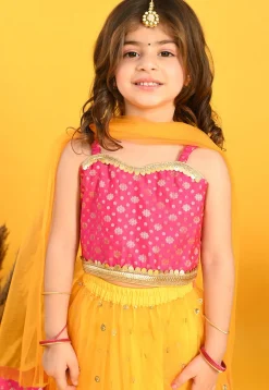 Embroidered Net Lehenga in Yellow