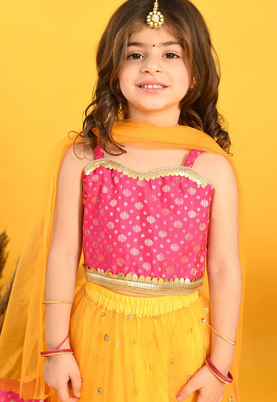 Embroidered Net Lehenga in Yellow