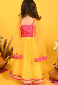 Embroidered Net Lehenga in Yellow