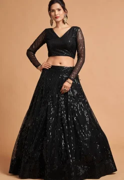Embroidered Net Lehenga in Black