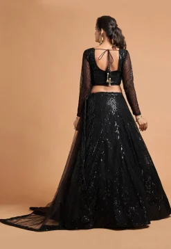 Embroidered Net Lehenga in Black