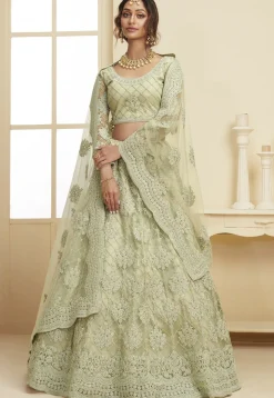 Embroidered Net Lehenga in Pastel Green