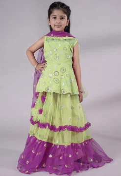Embroidered Net Lehenga in Olive Green and Purple
