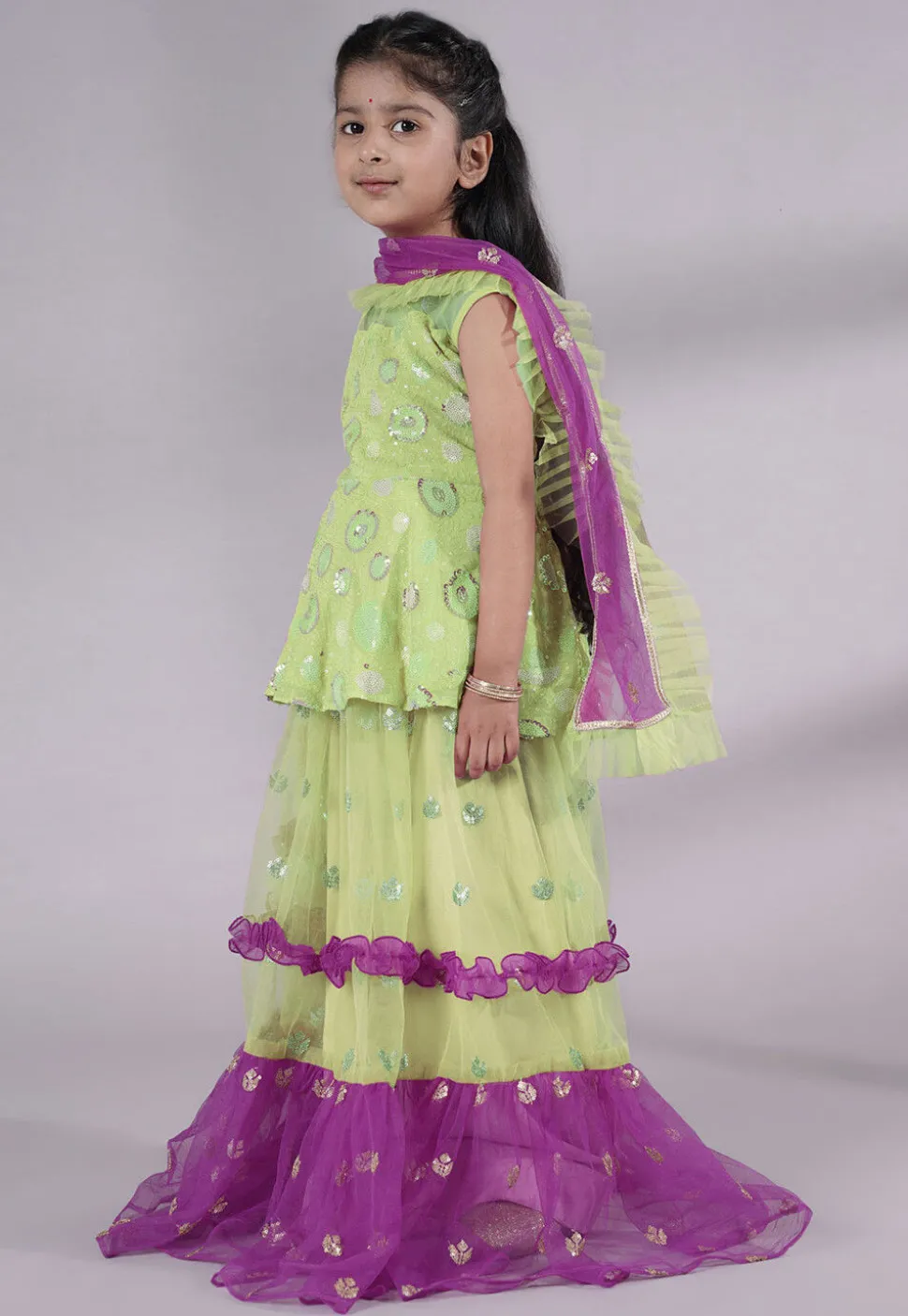 Embroidered Net Lehenga in Olive Green and Purple