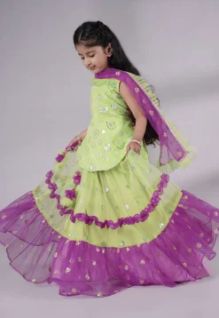 Embroidered Net Lehenga in Olive Green and Purple