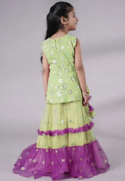 Embroidered Net Lehenga in Olive Green and Purple