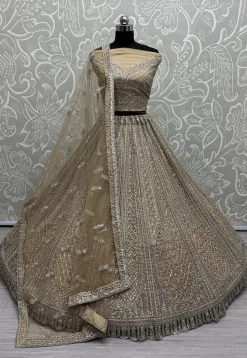 Embroidered Net Lehenga in Beige