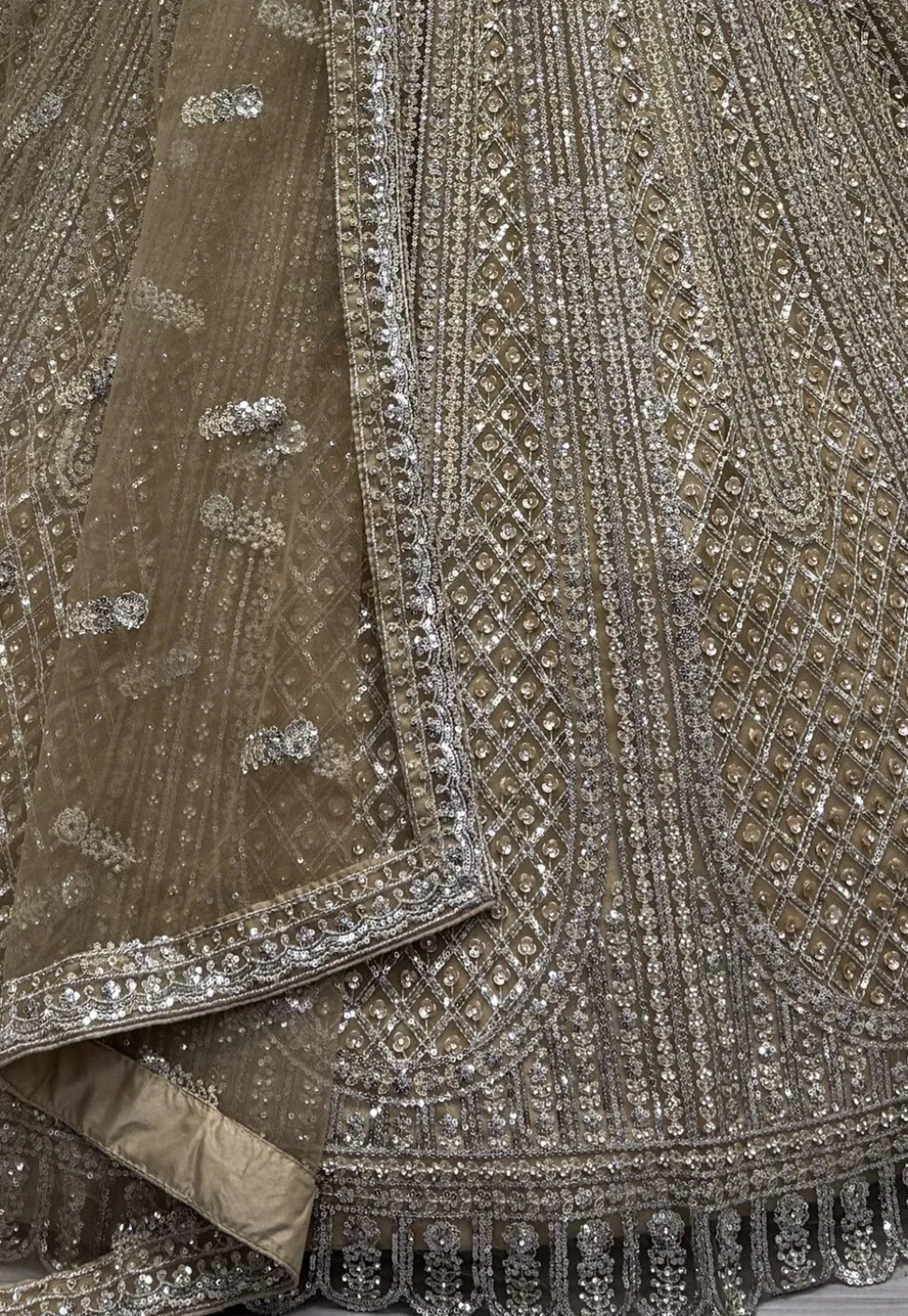 Embroidered Net Lehenga in Beige
