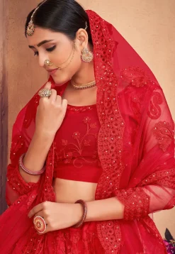 Embroidered Net Lehenga in Red