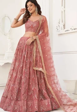 Embroidered Net Lehenga in Peach